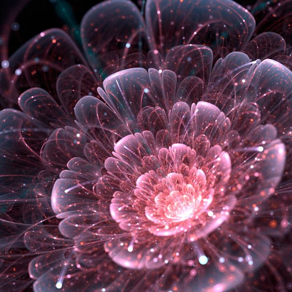 Фотообои Абстракционный цветок