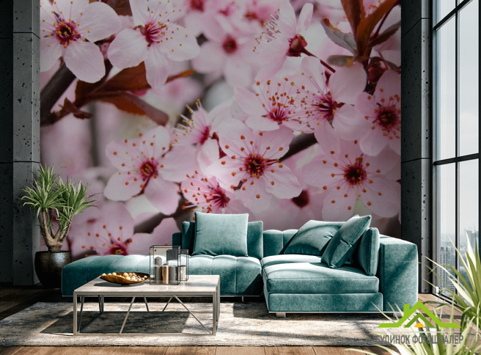 выбрать Фотообои Цветущее весной деревце Каталог фотообоев на стену