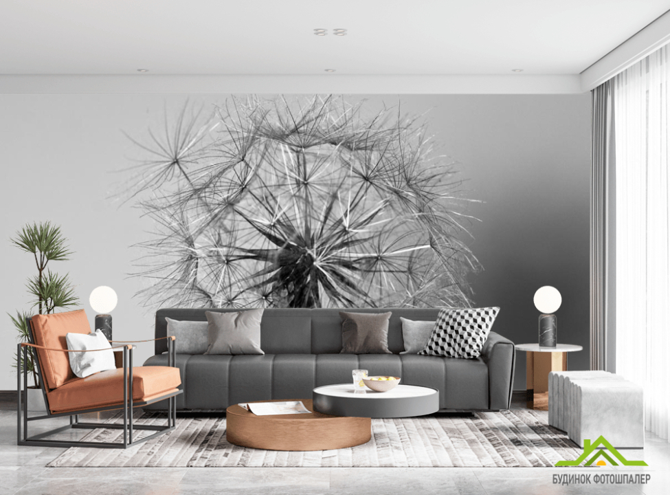 выбрать Фотошпалери чорно-білий кульбаба Каталог фотошпалер на стіну