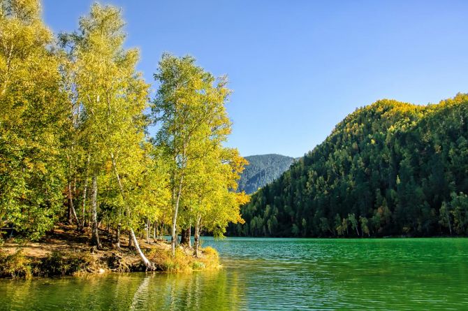 Фотообои зеленое осеннее озеро