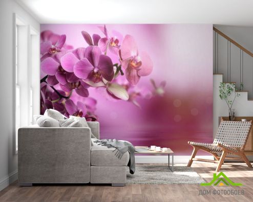 выбрать Фотообои розовые орхидеи над водой Фотообои Фотообои Орхидеи: горизонталная, горизонтальная ориентация на стену