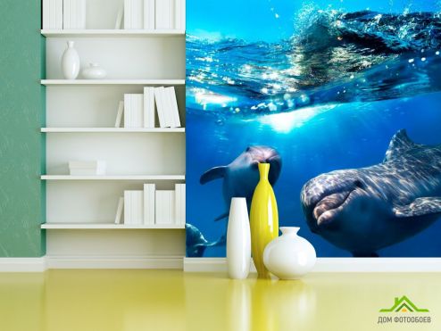 выбрать Фотообои Неунывающие дельфины Фотообои Фотообои Животные: фото, голубой  на стену