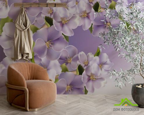 выбрать Фотошпалери Фіолетові квіти Фотошпалери, колір: «» на стіну