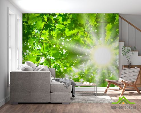выбрать Фотообои Дубовый лист Фотообои Фотообои лес: горизонталная, горизонтальная ориентация на стену