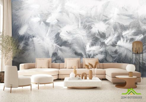 выбрать Фотообои Воздушные белые перья Фотообои перья на стену