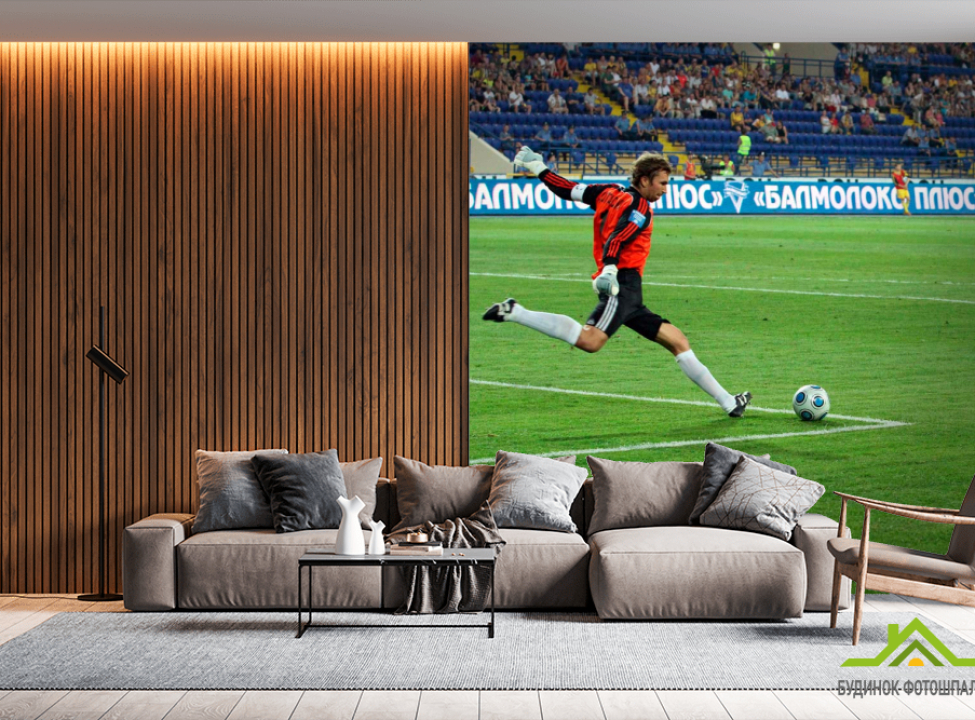 выбрать Фотошпалери Воротар починає атаку Каталог фотошпалер на стіну