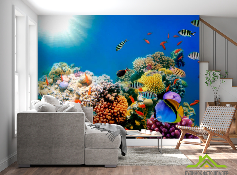 выбрать Фотошпалери Рибний косяк Фотошпалери Море на стіну