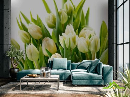 выбрать Фотообои Тюльпаны Фотообои Фотообои Цветы: горизонталная, горизонтальная, зелений, зеленый ориентация на стену