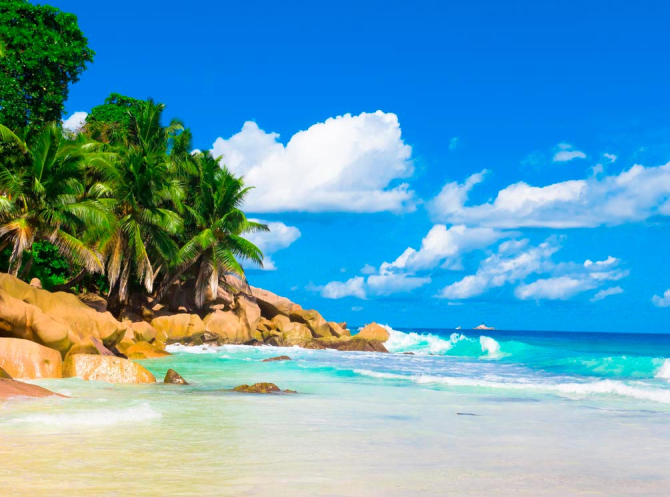 Фотошпалери Пляж, пальми, сонце