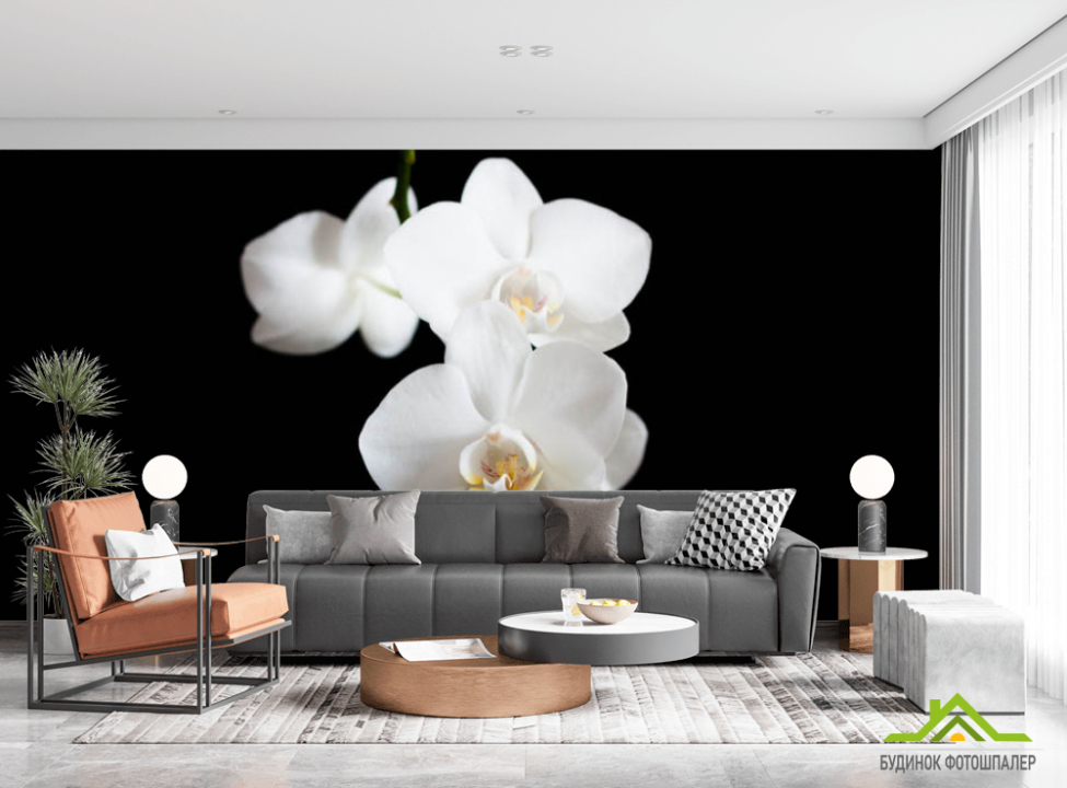 выбрать Фотошпалери орхідея Каталог фотошпалер на стіну