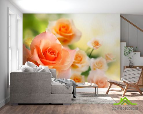 выбрать Фотошпалери Кремові трояндочки Фотошпалери Фотошпалери Квіти: фото  на стіну