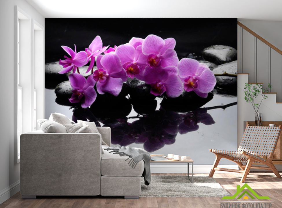 выбрать Фотообои Ветка орхидеи на камнях Каталог фотообоев на стену