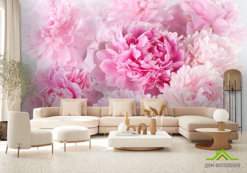 выбрать Фотообои Розовые пионы Фотообои, цвет: «горизонталная, горизонтальная» на стену
