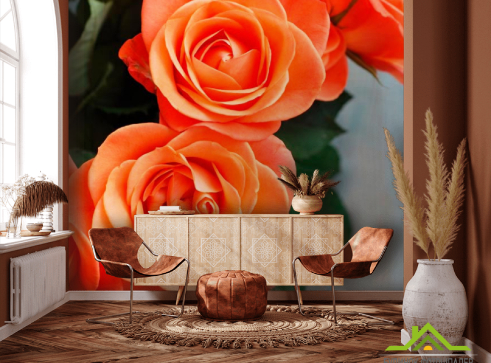 выбрать Фотообои Розы цвета кораллов Фотообои Розы на стену