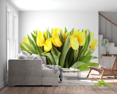 выбрать Фотообои желтые тюльпаны Фотообои Фотообои Цветы: горизонталная, горизонтальная на стену