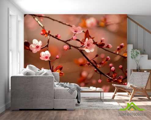 выбрать Фотообои Дерево вишни цветет Фотообои Фотообои Цветы: фото, горизонталная, горизонтальная  на стену