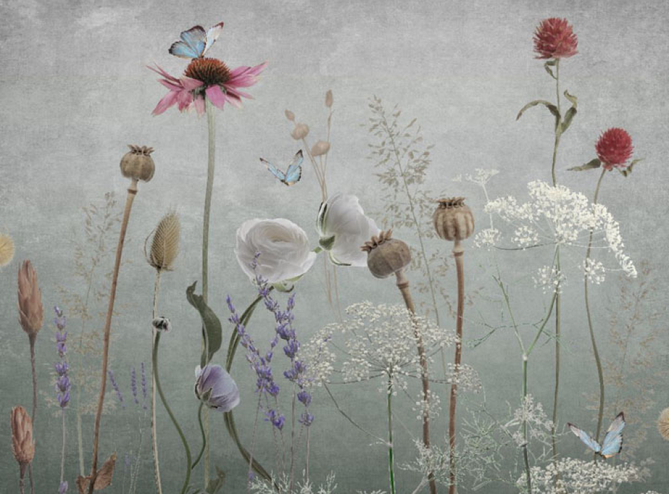 выбрать Фотошпалери польові дизайнерські квіти сірі Каталог фотошпалер на стіну