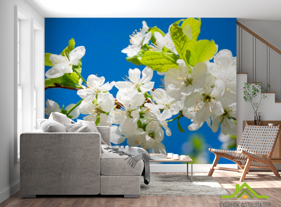 выбрать Фотообои Цветы на фоне неба Каталог фотообоев на стену
