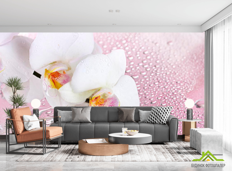 выбрать Фотошпалери Дві білі орхідеї Каталог фотошпалер на стіну
