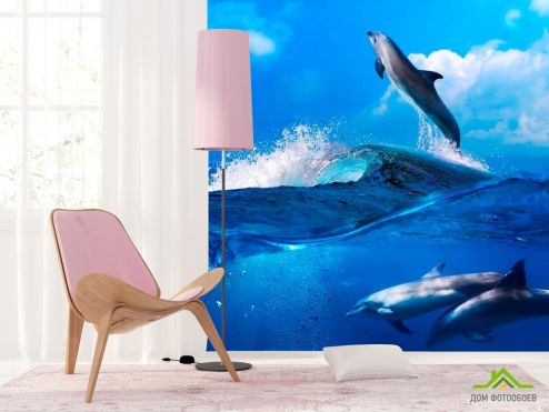 выбрать Фотошпалери Дельфіни на хвилях Фотошпалери Тварини на стіну