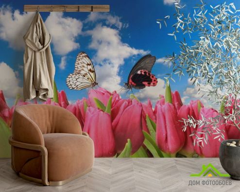 выбрать Фотообои Бабочки и розовые тюльпаны Фотообои Фотообои Цветы: фото, горизонталная, горизонтальная  на стену