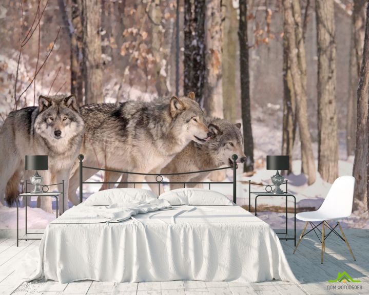 Фотообои волки в лесу