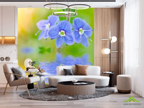 выбрать Фотошпалери Блакитні квіти Фотошпалери Фотошпалери Квіти: фото  на стіну