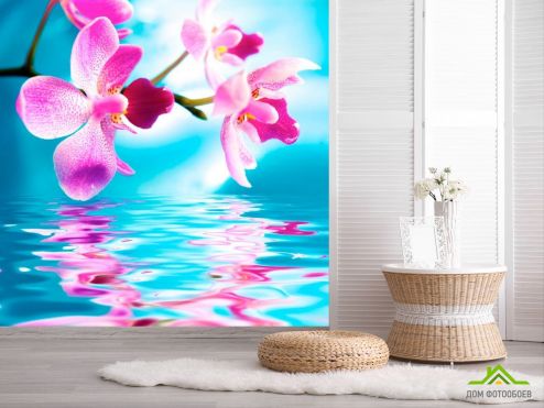 выбрать Фотообои Орхидеи над рекой Фотообои Фотообои Цветы: квадратная, голубой ориентация на стену
