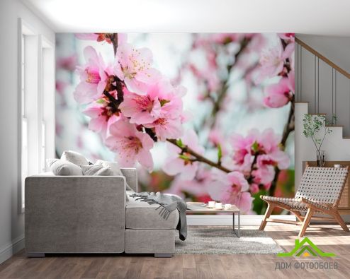 выбрать Фотообои розовая сакура Фотообои Цветы на стену