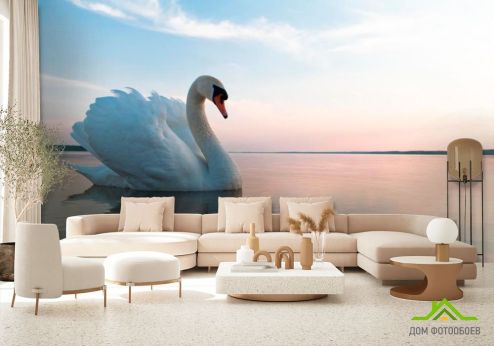 выбрать Фотообои Лебедь на пруду Фотообои Фотообои Животные: Птицы на стену