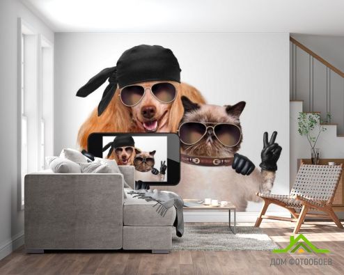 выбрать Фотообои кот с собакой делают селфи Фотообои Фотообои Животные: горизонталная, горизонтальная ориентация на стену
