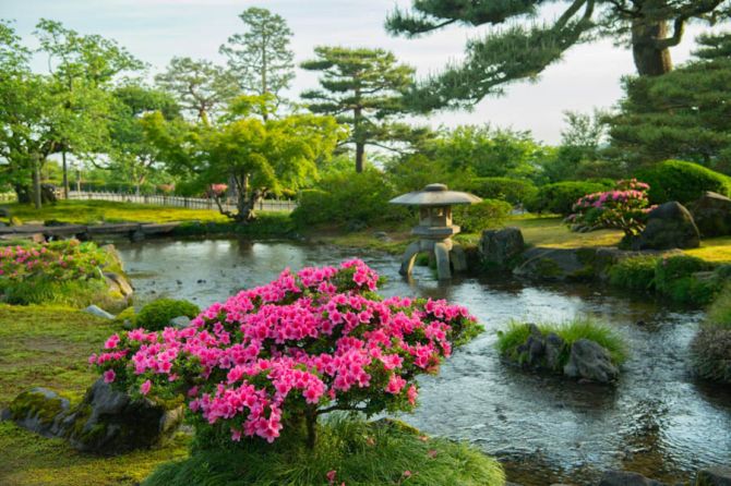 Фотошпалери Японський сад