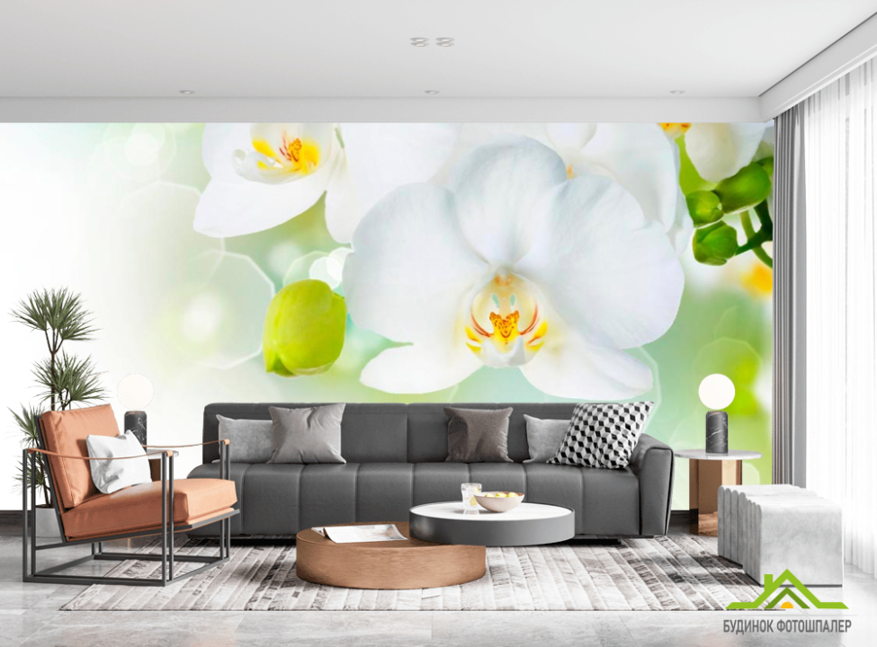 выбрать Фотообои Орхидеи в цвету Каталог фотообоев на стену