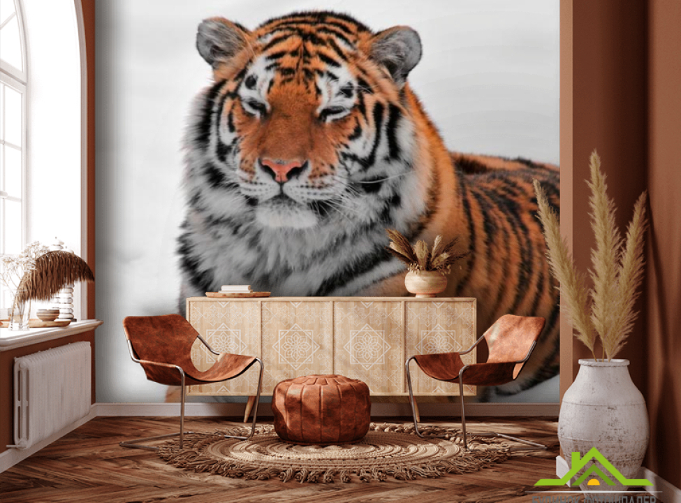 выбрать Фотошпалери Тигр в снігу Каталог фотошпалер на стіну