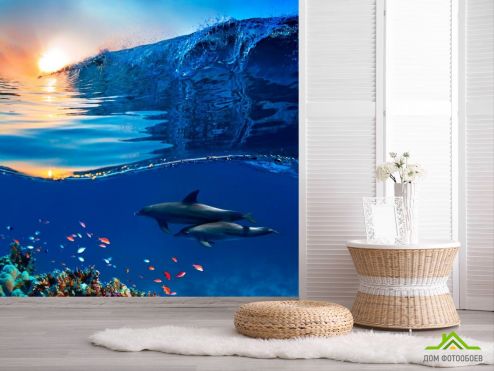 выбрать Фотообои Дельфины и море Фотообои Фотообои Море: фото, квадратная  на стену