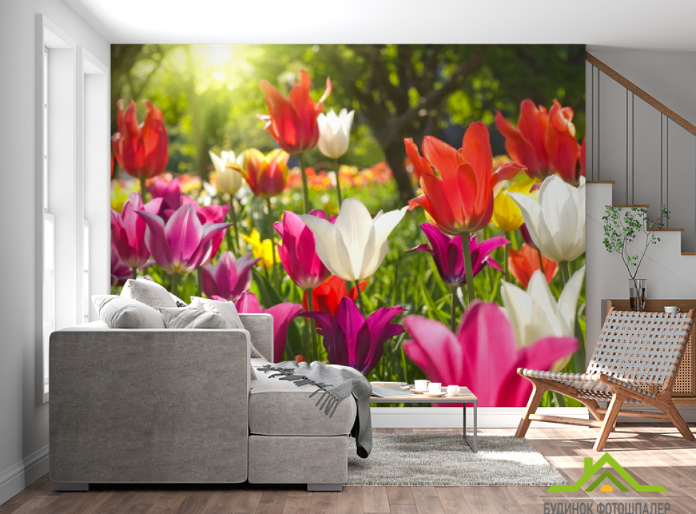 выбрать Фотообои Остроконечные тюльпаны Каталог фотообоев на стену