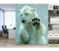 Фотообои белый медведь под водой