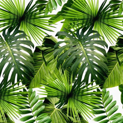 выбрать Фотошпалери тропічні листя Зелені фотошпалери на стіну