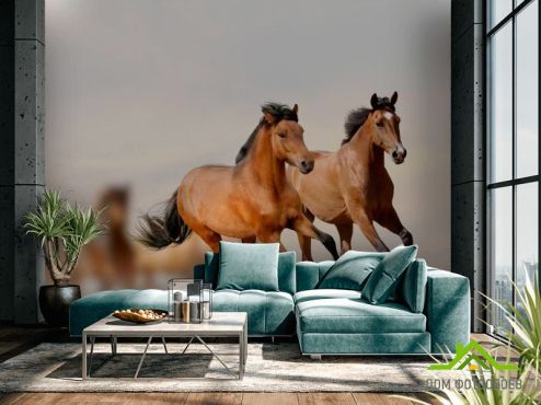 выбрать Фотообои Скачущие кони Фотообои Фотообои Лошади: горизонталная, горизонтальная ориентация на стену