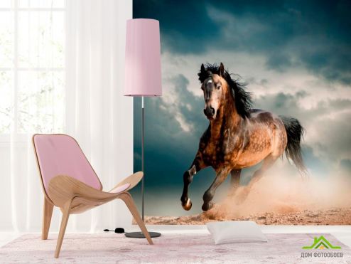 выбрать Фотообои Бегущая лошадь Фотообои Фотообои Животные: квадратная ориентация на стену