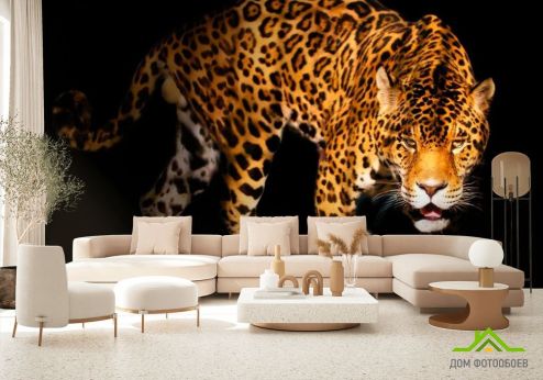 выбрать Фотообои Нападающий гепард Фотообои Фотообои Животные: Гепарды, горизонталная, горизонтальная на стену