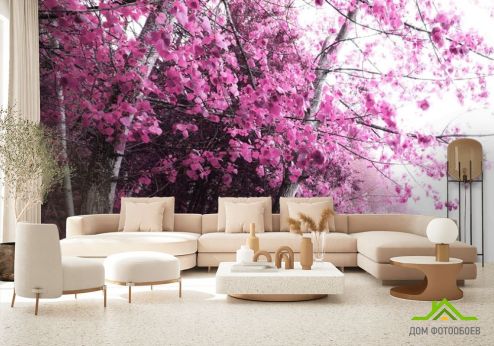 выбрать Фотообои Розовое дерево Фотообои Фотообои Природа: горизонталная, горизонтальная ориентация на стену