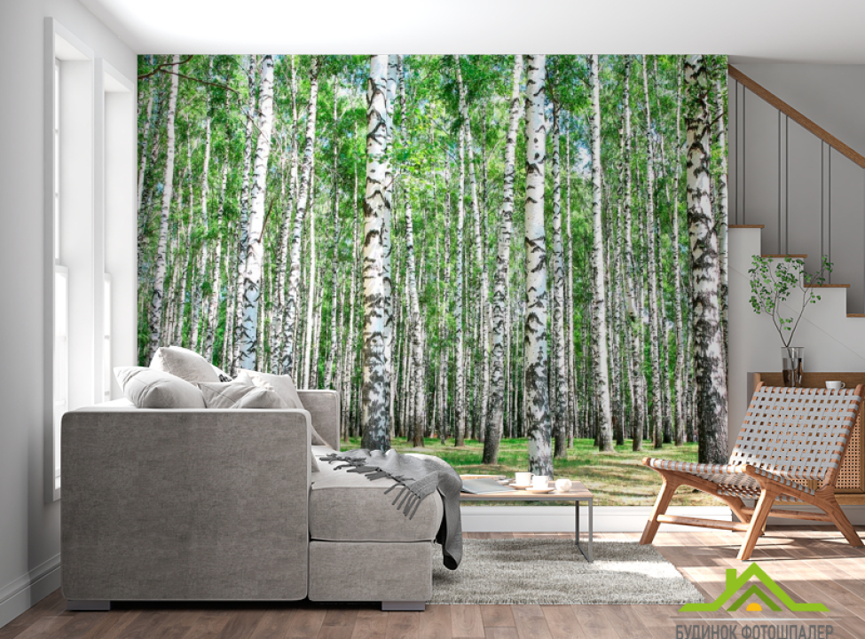 выбрать Фотошпалери Ліс, берези Фотошпалери ліс на стіну