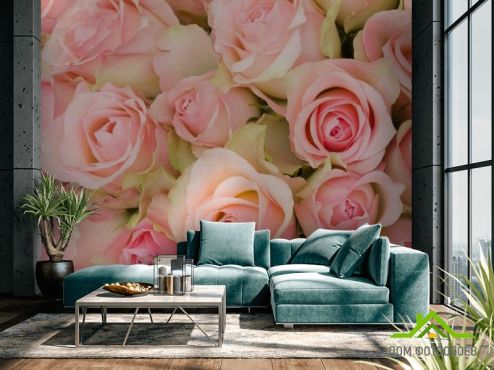 выбрать Фотообои букет розовых роз  на стену