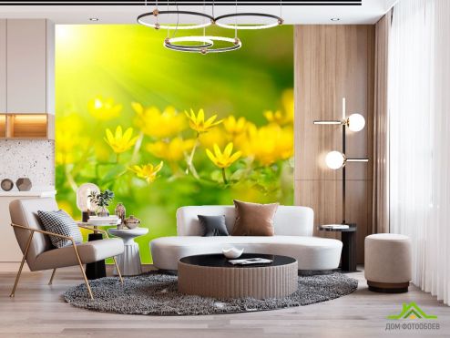 выбрать Фотообои Пролиски желтые Фотообои Фотообои Цветы: фото, зелений, зеленый  на стену