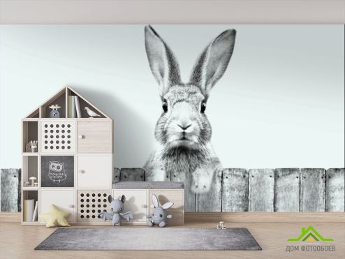 выбрать Фотообои Милый кролик Фотообои Фотообои в детскую: горизонталная, горизонтальная, серый ориентация на стену