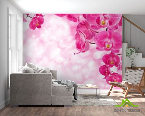 выбрать Фотообои Орхидеи розовые и вода Фотообои Фотообои Орхидеи: фото, горизонталная, горизонтальная  на стену