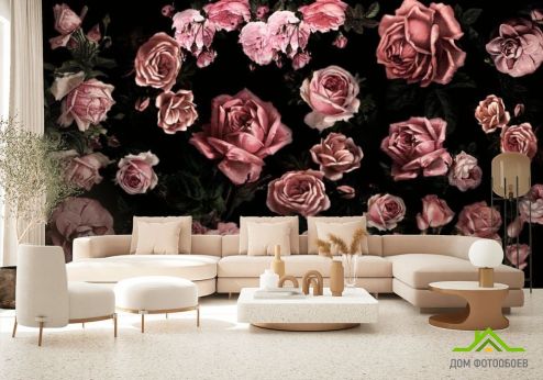 выбрать Фотообои Розы Фотообои Цветы на стену