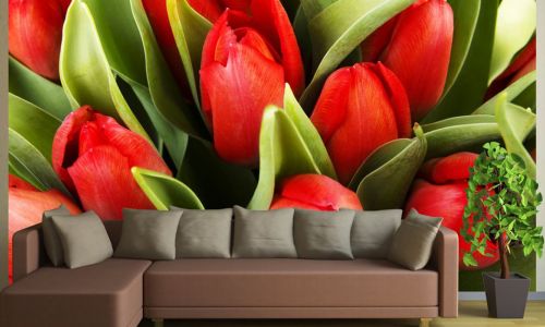 Фотообои в интерьере гостиной с фото - Фотообои красные тюльпаны