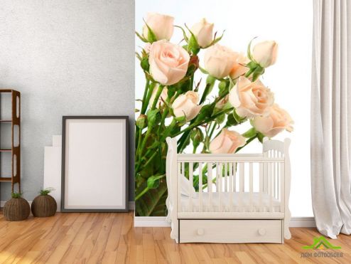 выбрать Фотообои Бежево-белые розы Фотообои Фотообои Цветы: фото  на стену
